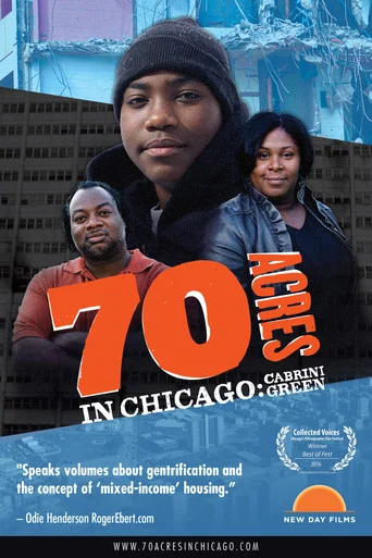 Movie poster for 70 Acres in Chicago: Cabrini Green (2015)