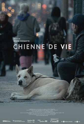 Movie poster for A Dog's Life (2016)