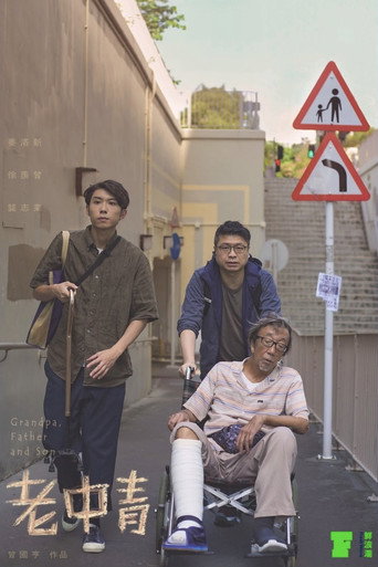 Movie poster for Grandpa, Father and Son (2021)