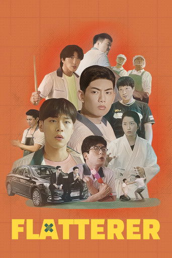 Flatterer poster