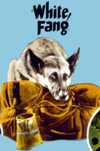 Movie poster for White Fang (1925)