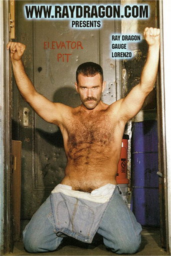 Movie poster for Ray Dragon Presents (2002)