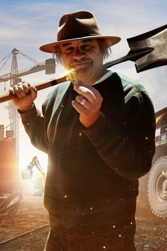 Frank Gaat Voor Goud poster