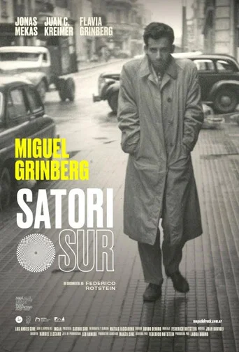 Movie poster for Satori Sur (2019)