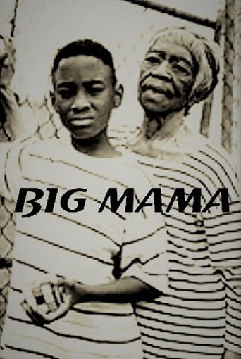 Movie poster for Big Mama (2000)