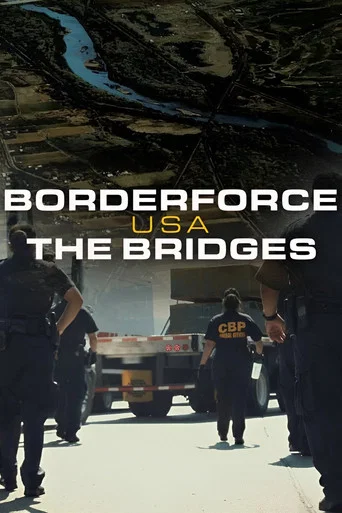 Series poster for Borderforce USA: The Bridges (2019)
