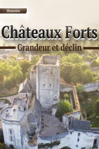 Movie poster for Châteaux forts : grandeur et déclin (2020)