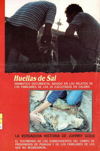 Movie poster for La Verdadera Historia de Johny Good (1990)
