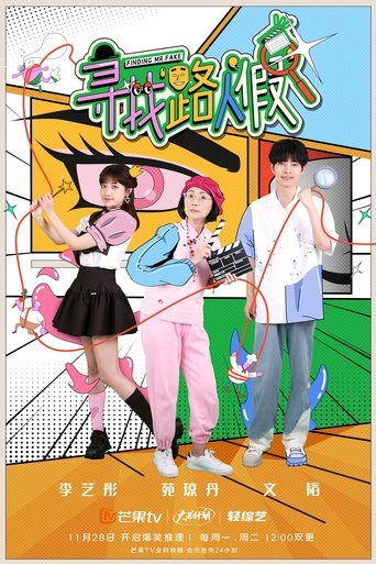 Finding Mr. Fake poster
