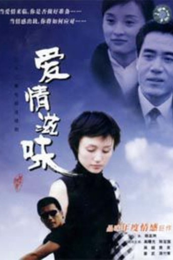 爱情滋味 poster