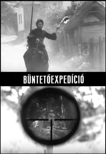 Movie poster for Punitive Expedition (1970)