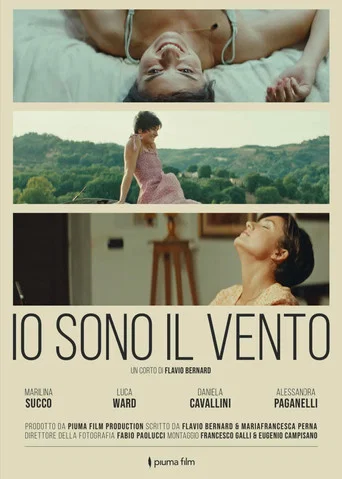 Movie poster for Io sono il vento (2025)