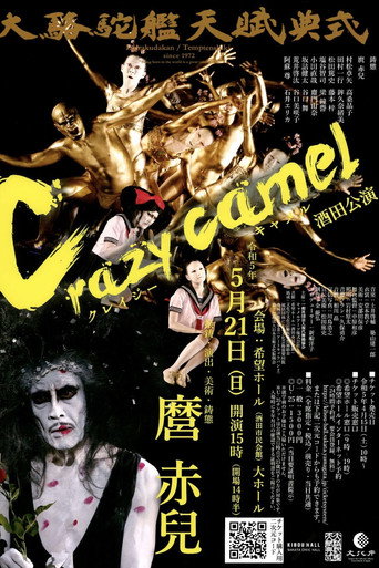Movie poster for Crazy Camel (2012)