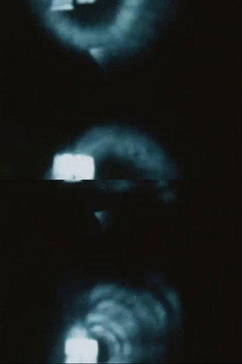 Movie poster for Pinhole Film (The Man Without a Movie Camera) (1989)