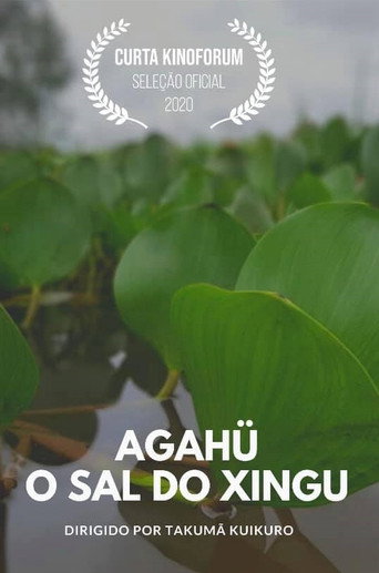 Movie poster for Agahü: O Sal do Xingu (2020)
