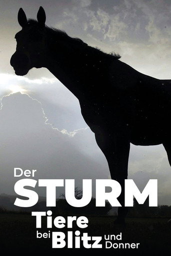 Movie poster for Der Sturm - Tiere bei Blitz und Donner (2023)