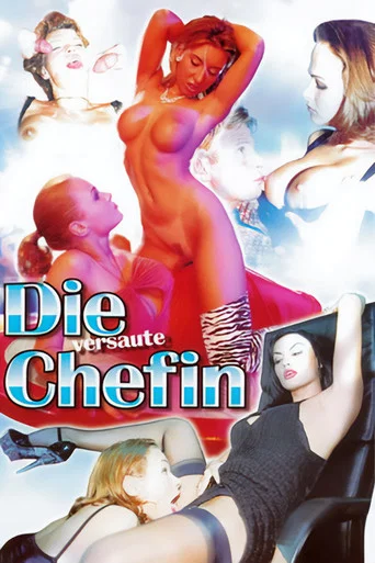 Movie poster for Die versaute Chefin (1999)
