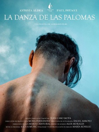 Movie poster for La danza de las palomas (2026)