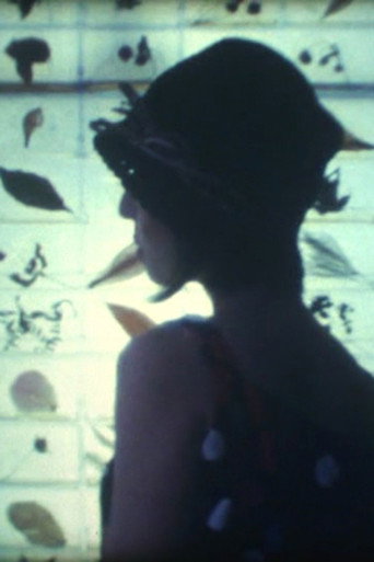 Movie poster for Instant Memory (2012)