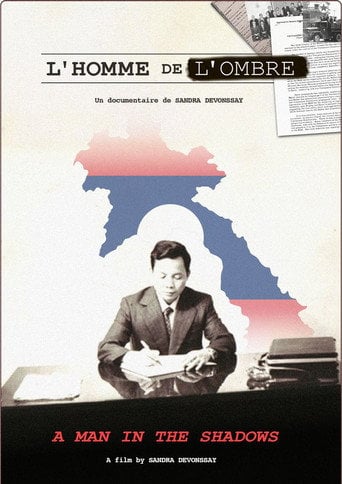 Movie poster for L'homme de l'ombre (2024)