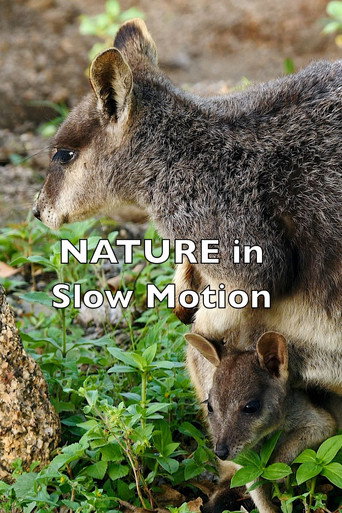 Movie poster for Nature In Slow Motion (2023)