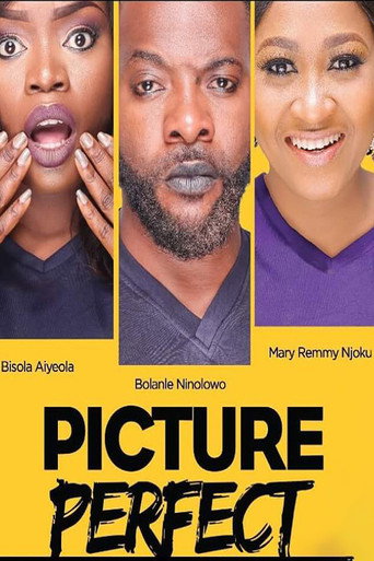Movie poster for Picture Perfect (2016)