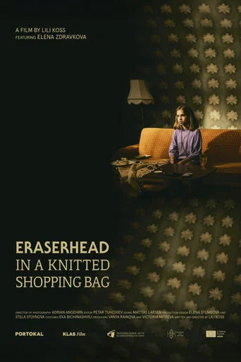 Movie poster for Eraserhead in a Knitted Shopping Bag (2025)