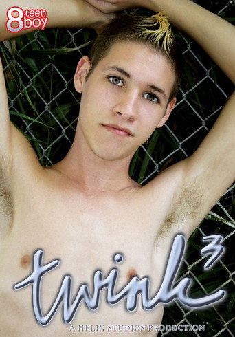 Movie poster for Twink 3 (2005)