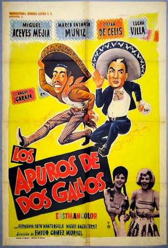 Los apuros de dos gallos poster