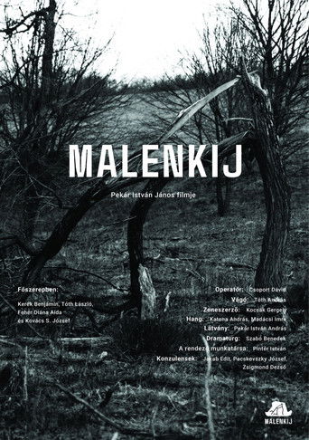Malenkij poster