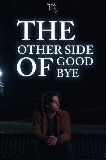 Movie poster for The Other Side of Goodbye (2025)
