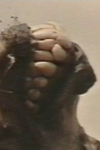 Movie poster for Africa addio (Plagium 11) (1996)