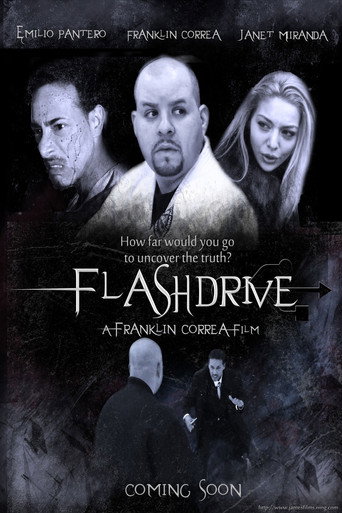 Movie poster for Flashdrive (2012)