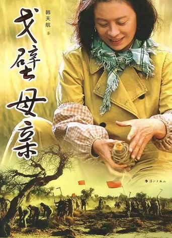戈壁母亲 poster