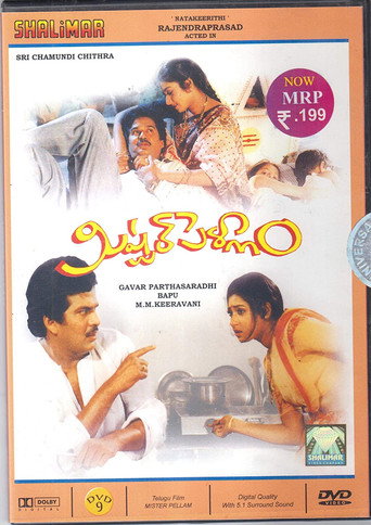 Movie poster for Mister Pellam (1993)