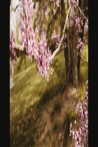Movie poster for 3/1 and 3/3 (Bountiful Gems) (2021)