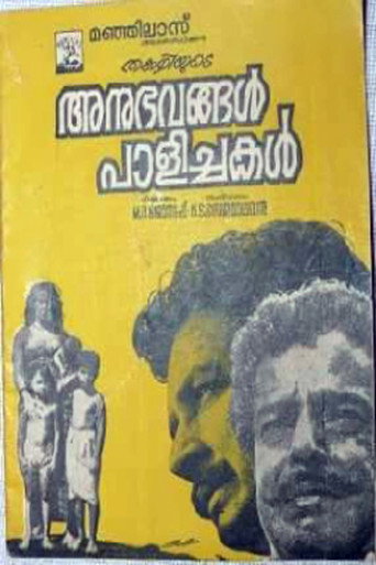 Movie poster for Anubhavangal Palichakal (1971)