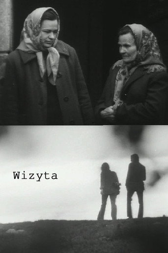 Movie poster for The Visit (1974)