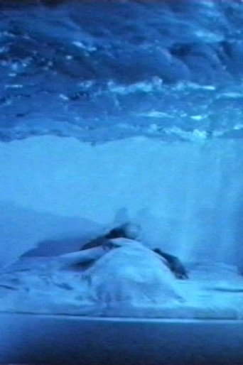 Movie poster for L'attacco col fuoco (Plagium 14) (1997)