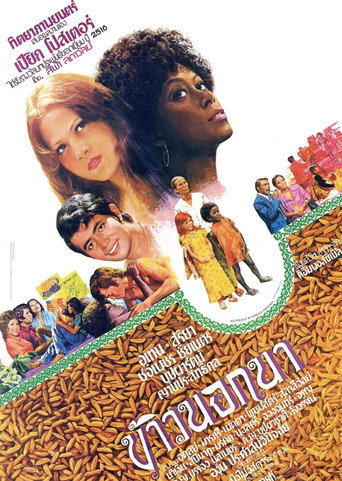 Movie poster for The American Surplus (1975)