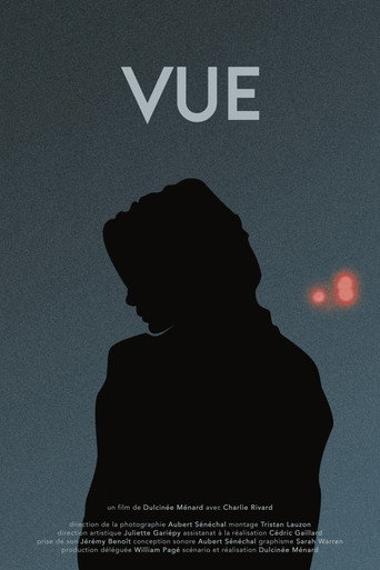 Movie poster for Vue