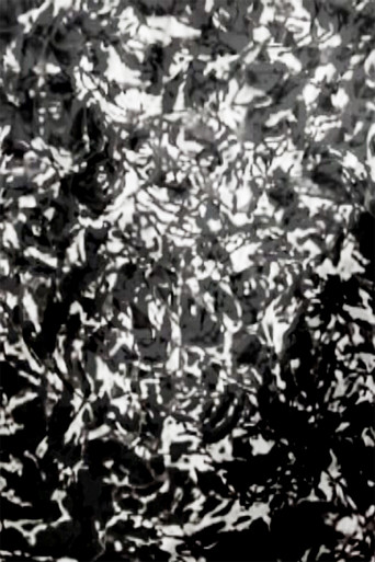 Movie poster for Mesh - P.I.V. 7 (2007)