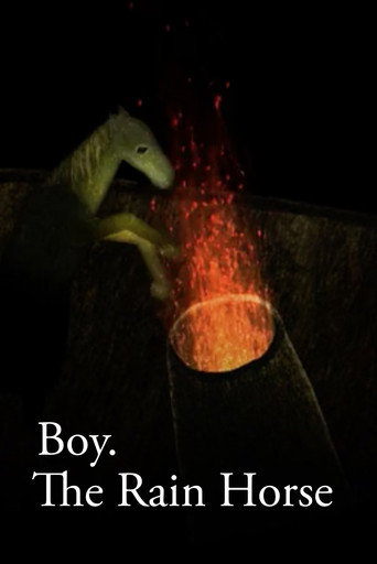 Movie poster for Boy (2008)