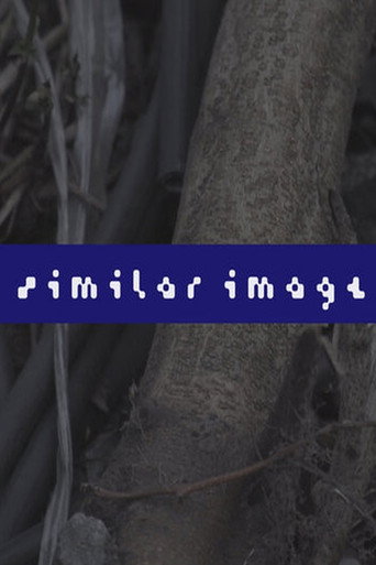 Movie poster for Similar Image (2021)