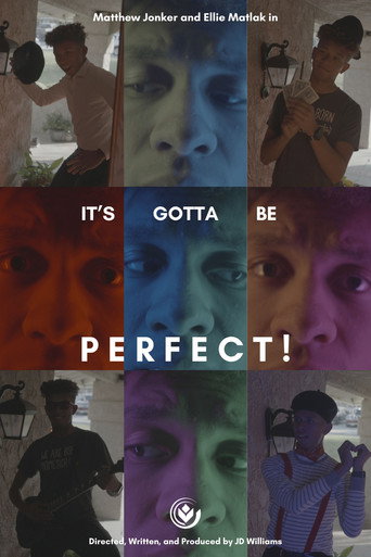 Movie poster for It's Gotta Be Perfect! (2024)