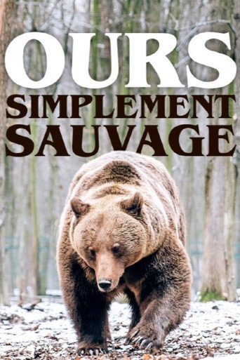 Movie poster for Ours, simplement sauvage (2019)