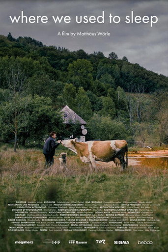Movie poster for Where We Used to Sleep (2024)