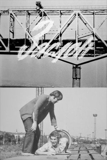 Movie poster for Barrier (1976)