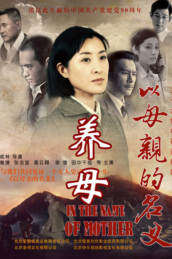 养母 poster