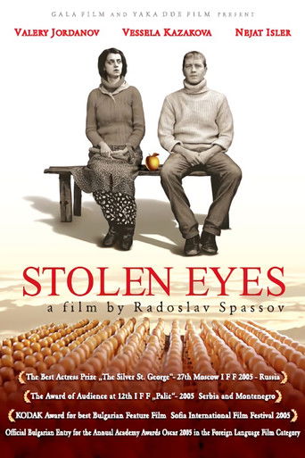 Stolen Eyes poster